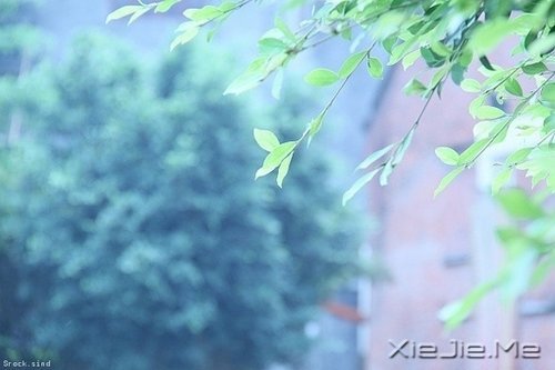 放下这十样东西,你会变得更加优秀 (5)